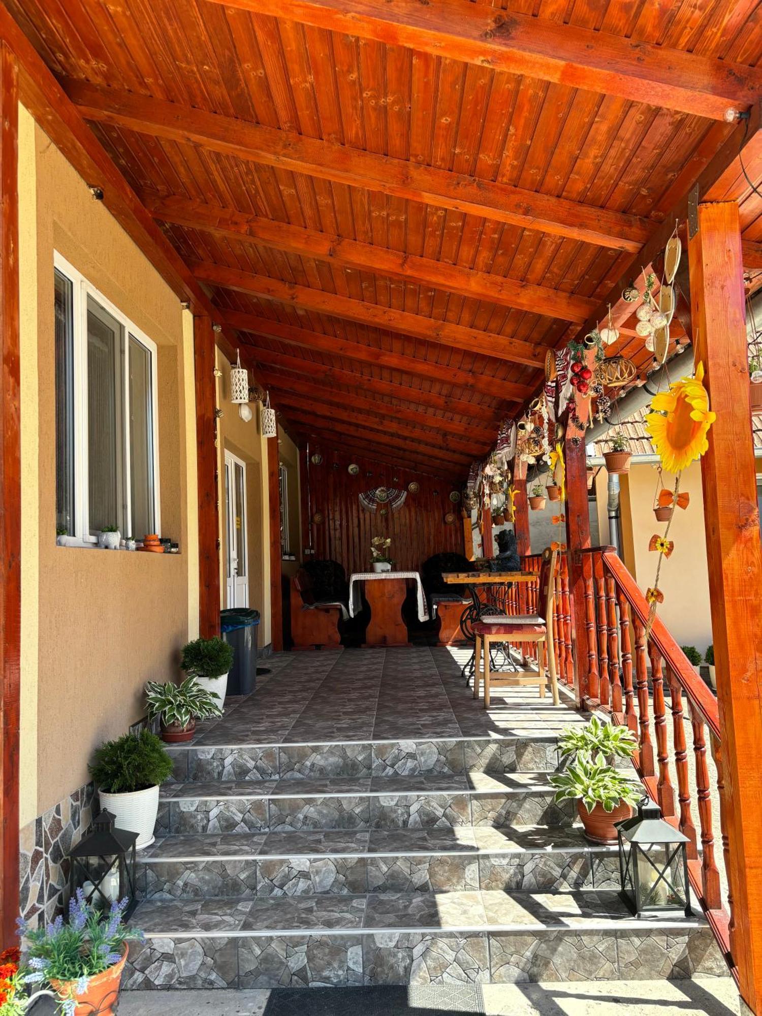 Casa Otilia Hotel Chiscau Exterior photo